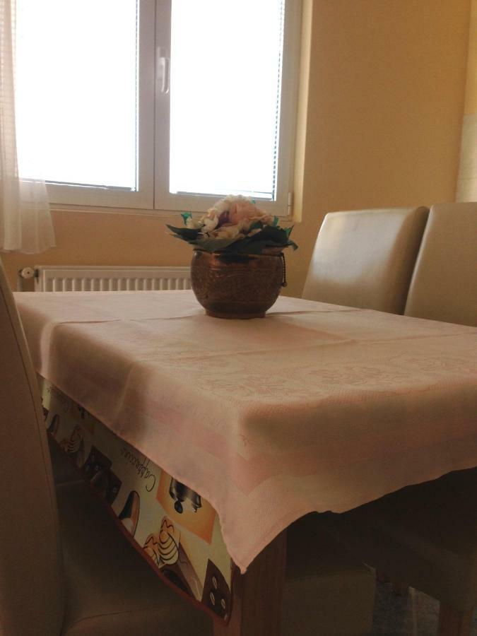 Sunny Apartment Jukic With Sea View Zadar Exteriör bild